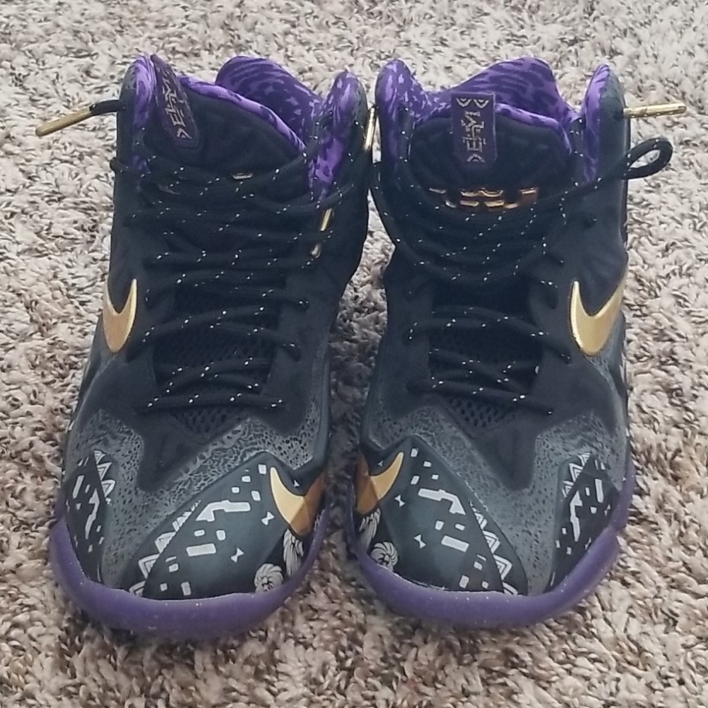 Nike Lebrons